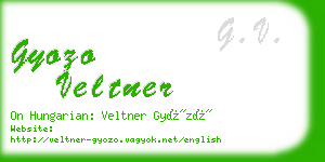 gyozo veltner business card